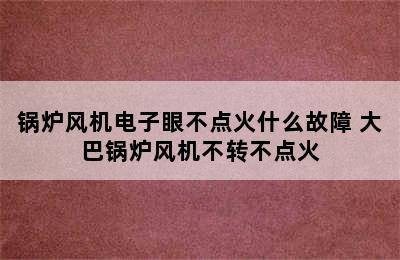 锅炉风机电子眼不点火什么故障 大巴锅炉风机不转不点火